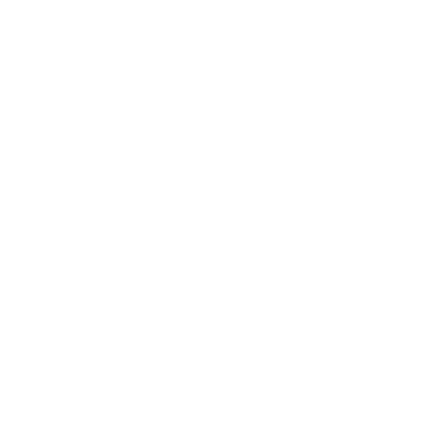 Hot air balloon icon